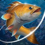 Icon Fishing Hook Mod APK 2.4.8 (Vô hạn tiền)