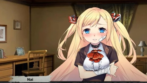 Nais Training Diary apk download
