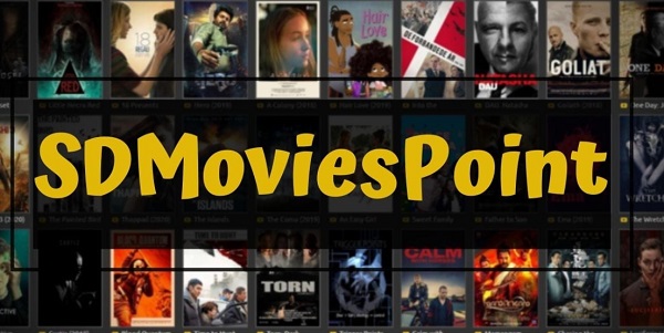 SD Movies Point APK 1.5 Download Latest Version For Android Free