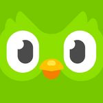 Icon Duolingo APK 5.159.4 (Premium Unlocked)