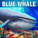 Icon Blue Whale Simulator  Mod APK 1.1.9 (Unlimited Money)