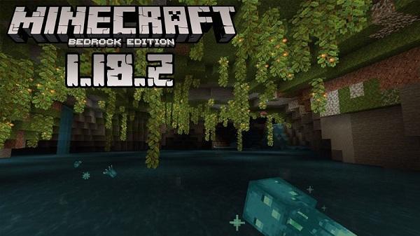 Minecraft 1.18.2 Java Edition Download