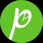 Icon Green Pista APK 1.0.20
