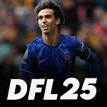 Icon DFL 25 APK 16