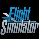 Icon Microsoft Flight Simulator 2025 4.0