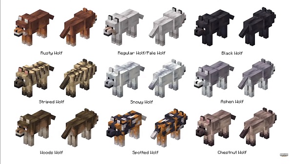 minecraft 1 20 80 21 for android