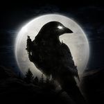 Icon NIGHT CROWS APK 1.1.9 (Unlimited Coins)