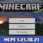 Minecraft 1.21.30.21