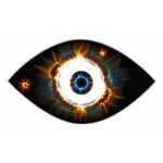 Ocular Migraine