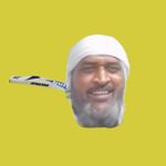 Flappy Dhoni