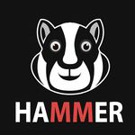 Icon Hammer Hamtser VPN  APK 10.1.8