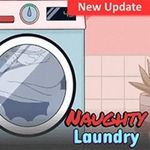 Naughty Laundry