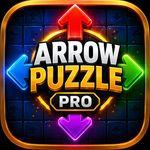 Arrow Puzzle Pro