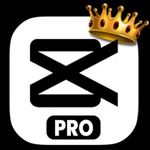 Capcut Pro 15.0.0