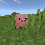 Minecraft 1.26.10